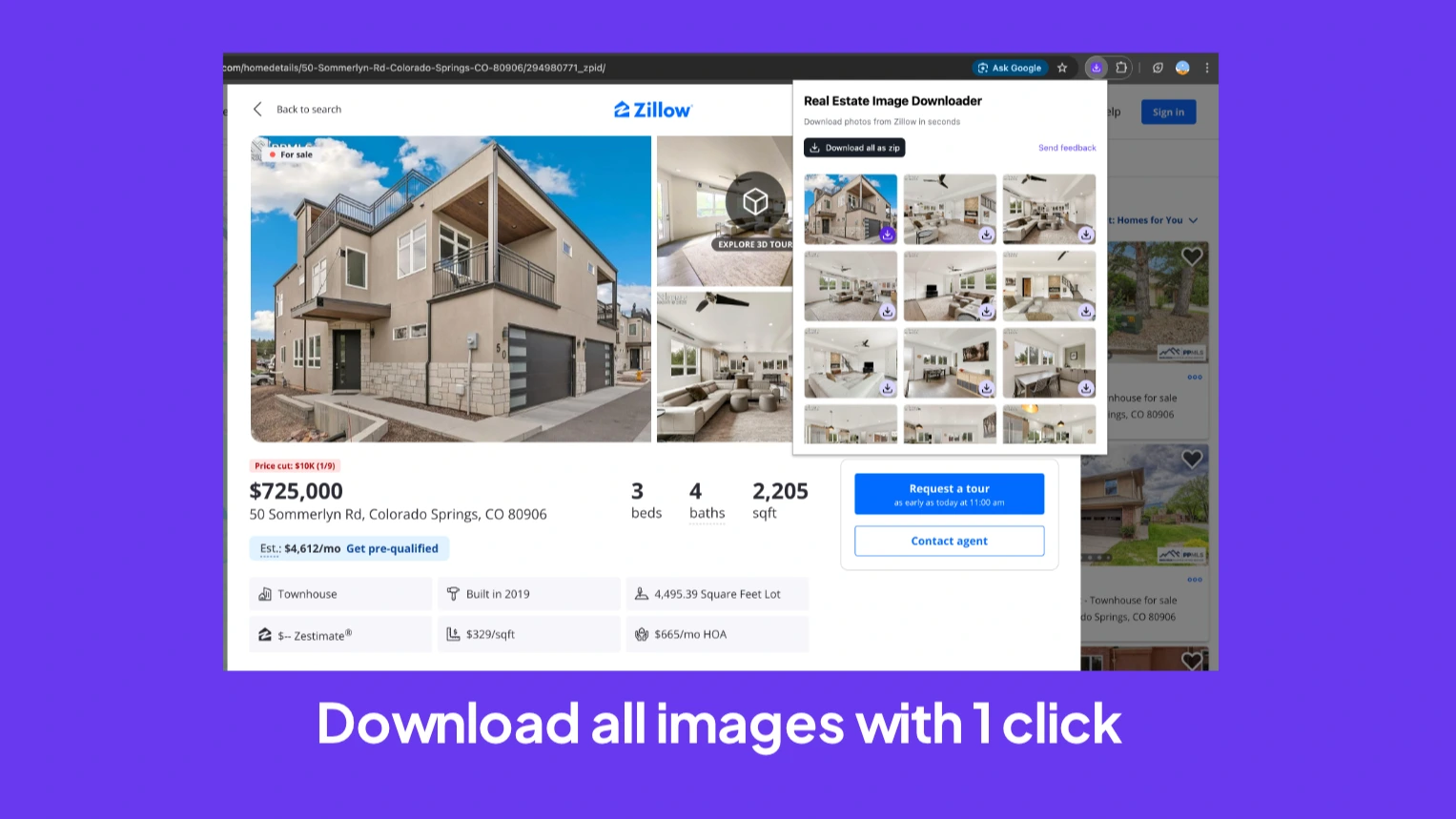 Real Estate Image Downloader